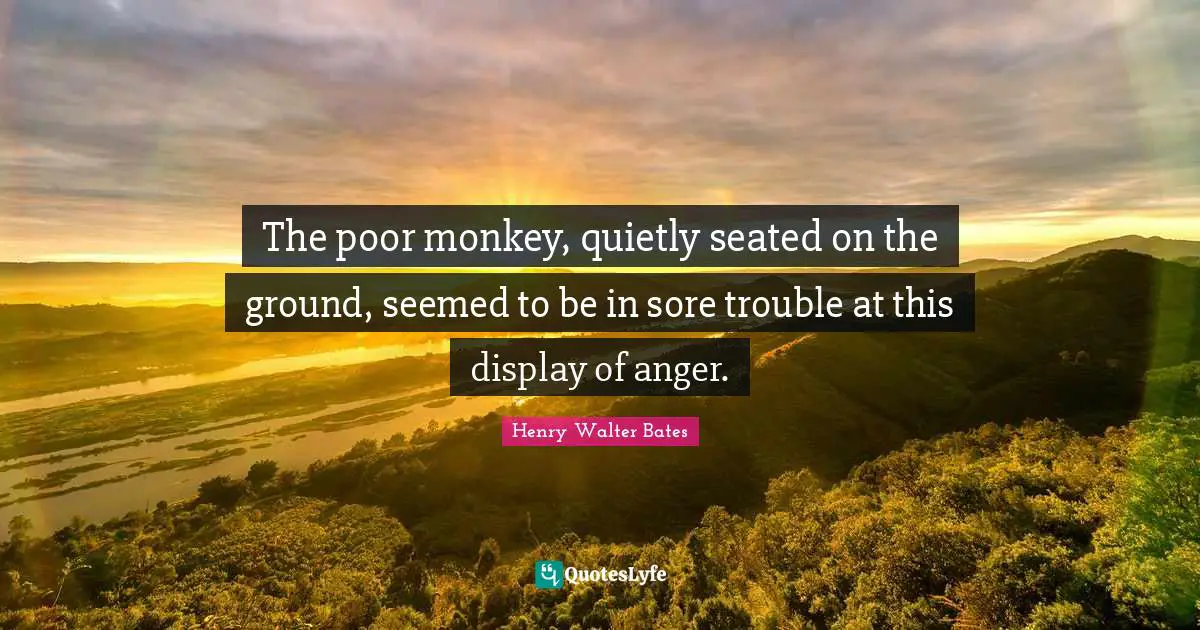 The poor monkey, quietly seated on the ground, seemed to be in sore trouble at this display of anger.