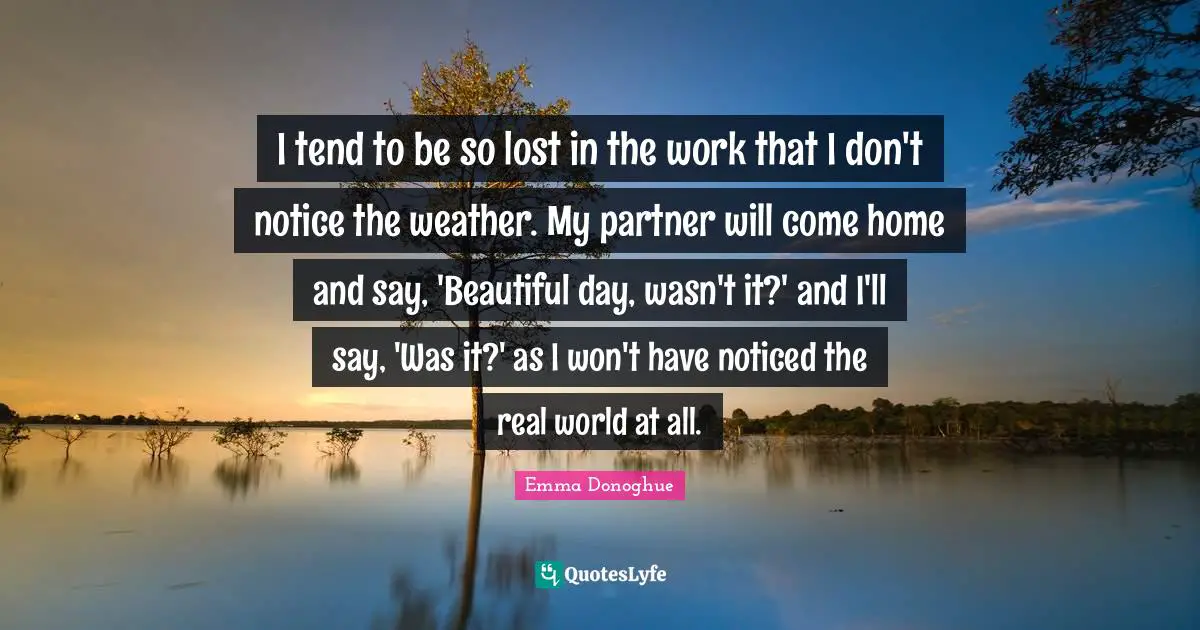 I tend to be so lost in the work that I don't notice the weather. My partner will come home and say, 'Beautiful day, wasn't it?' and I'll say, 'Was it?' as I won't have noticed the real world at all.
