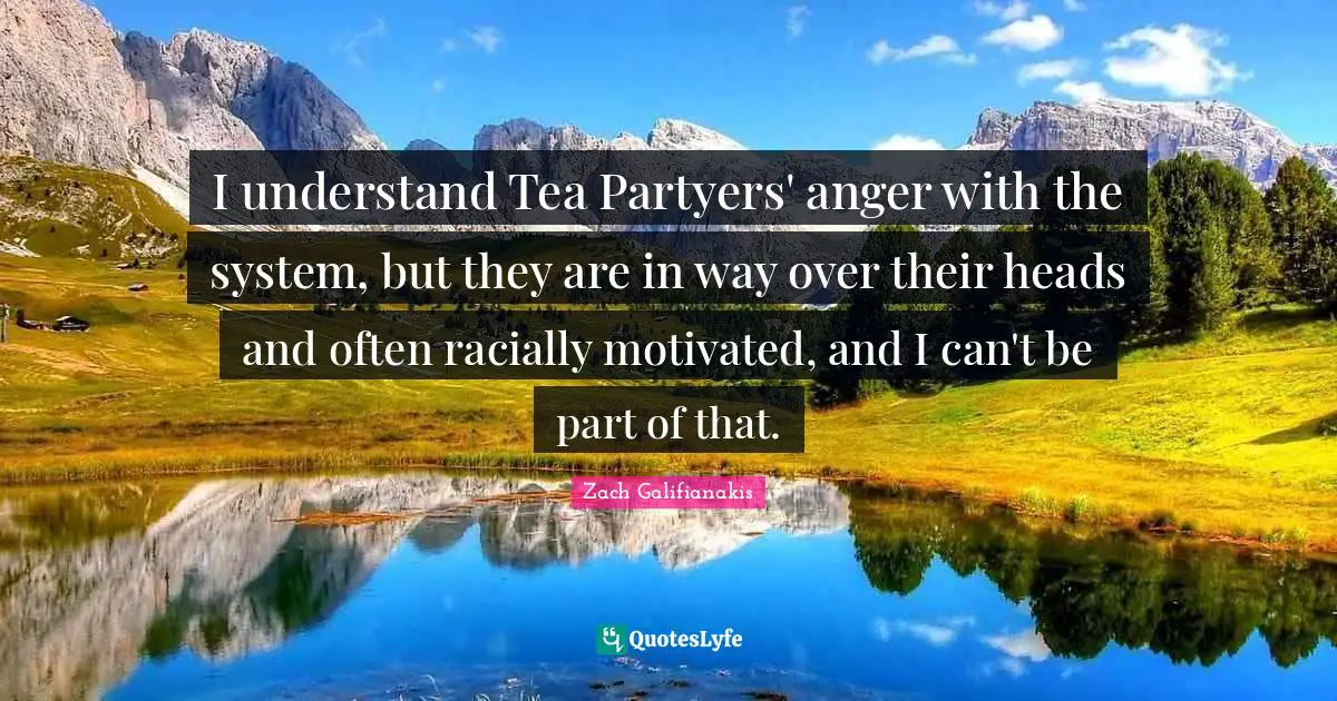I understand Tea Partyers' anger with the system, but they are in way over their heads and often racially motivated, and I can't be part of that.