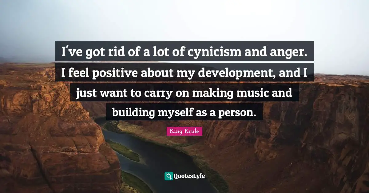 I've got rid of a lot of cynicism and anger. I feel positive about my development, and I just want to carry on making music and building myself as a person.