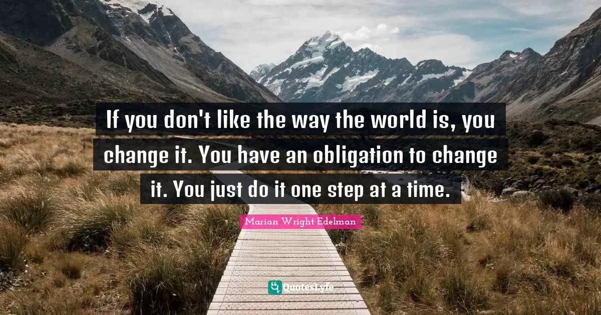 If you don't like the way the world is, you change it. You have an obligation to change it. You just do it one step at a time.