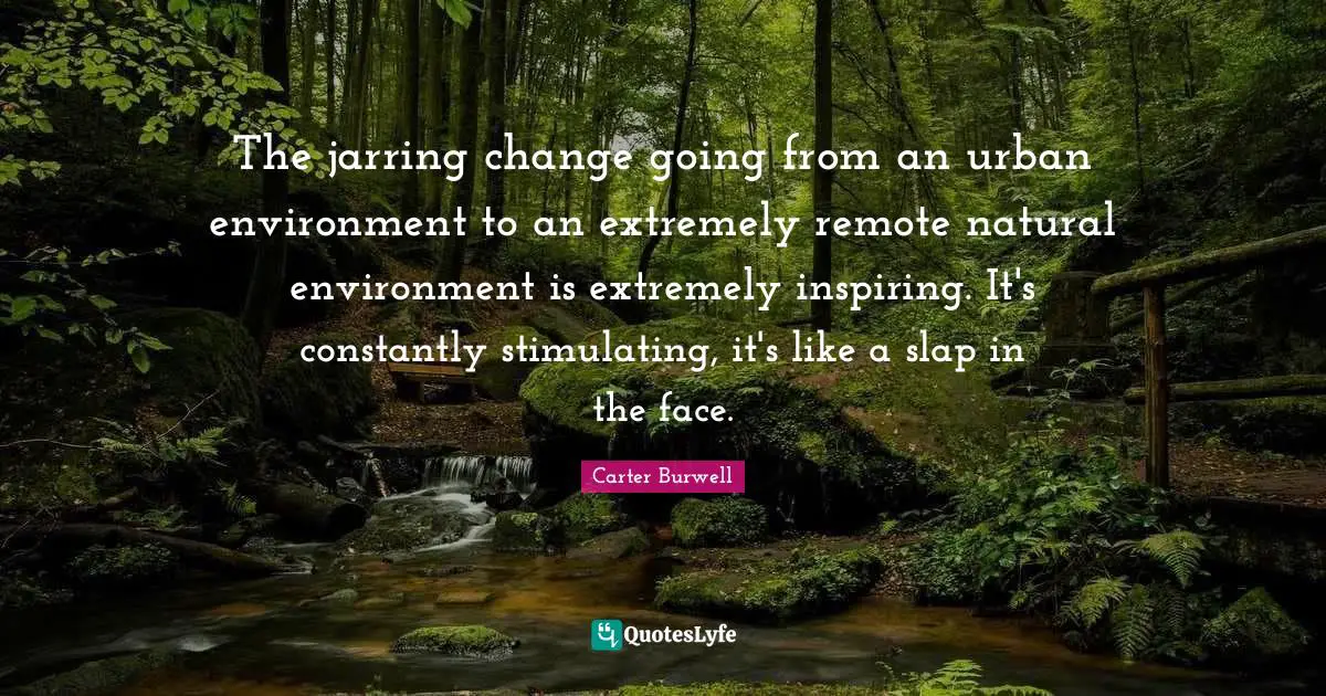The jarring change going from an urban environment to an extremely remote natural environment is extremely inspiring. It's constantly stimulating, it's like a slap in the face.