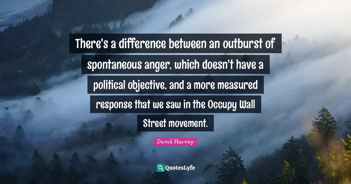 There's a difference between an outburst of spontaneous anger, which doesn't have a political objective, and a more measured response that we saw in the Occupy Wall Street movement.
