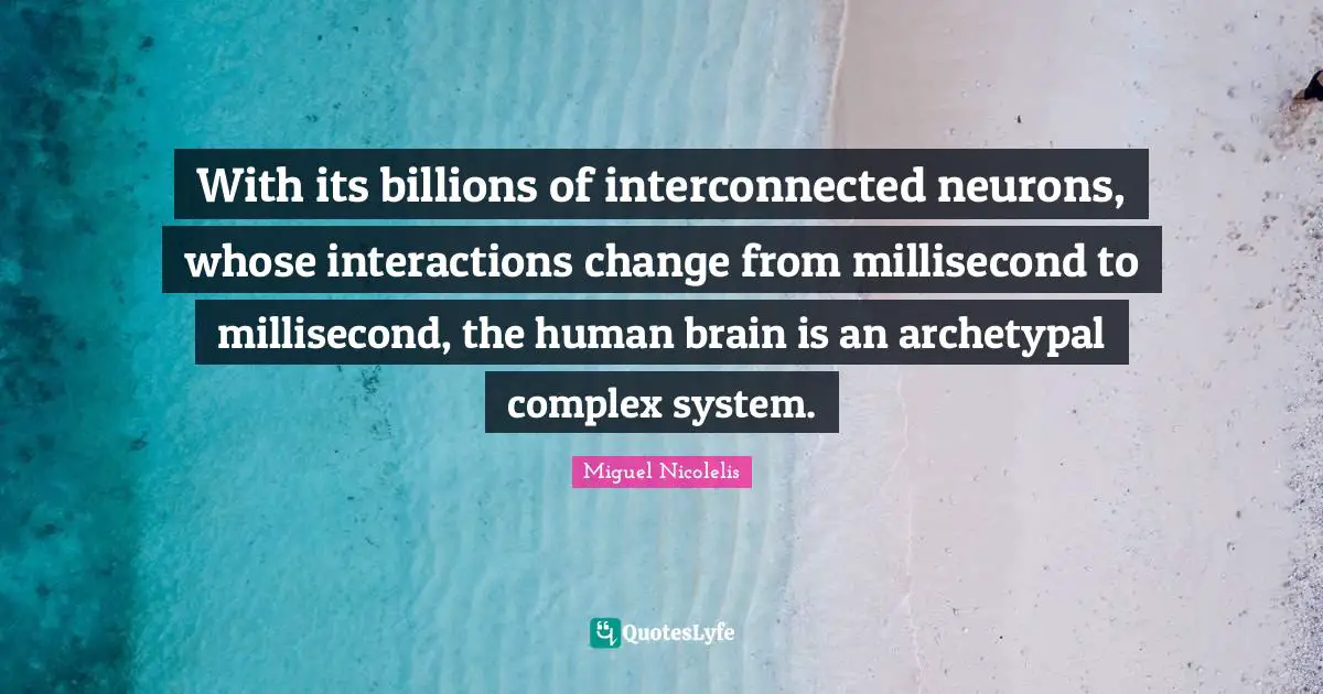 With its billions of interconnected neurons, whose interactions change from millisecond to millisecond, the human brain is an archetypal complex system.