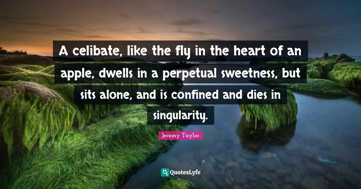 A celibate, like the fly in the heart of an apple, dwells in a perpetual sweetness, but sits alone, and is confined and dies in singularity.