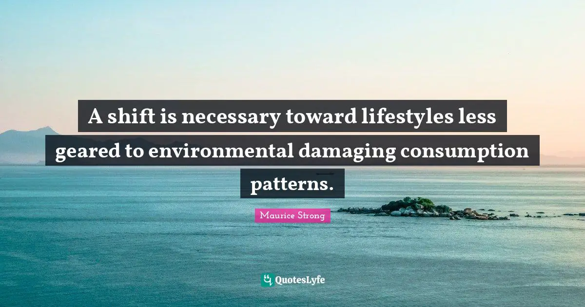 A shift is necessary toward lifestyles less geared to environmental damaging consumption patterns.