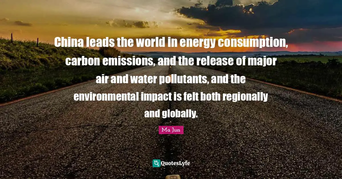 China leads the world in energy consumption, carbon emissions, and the release of major air and water pollutants, and the environmental impact is felt both regionally and globally.