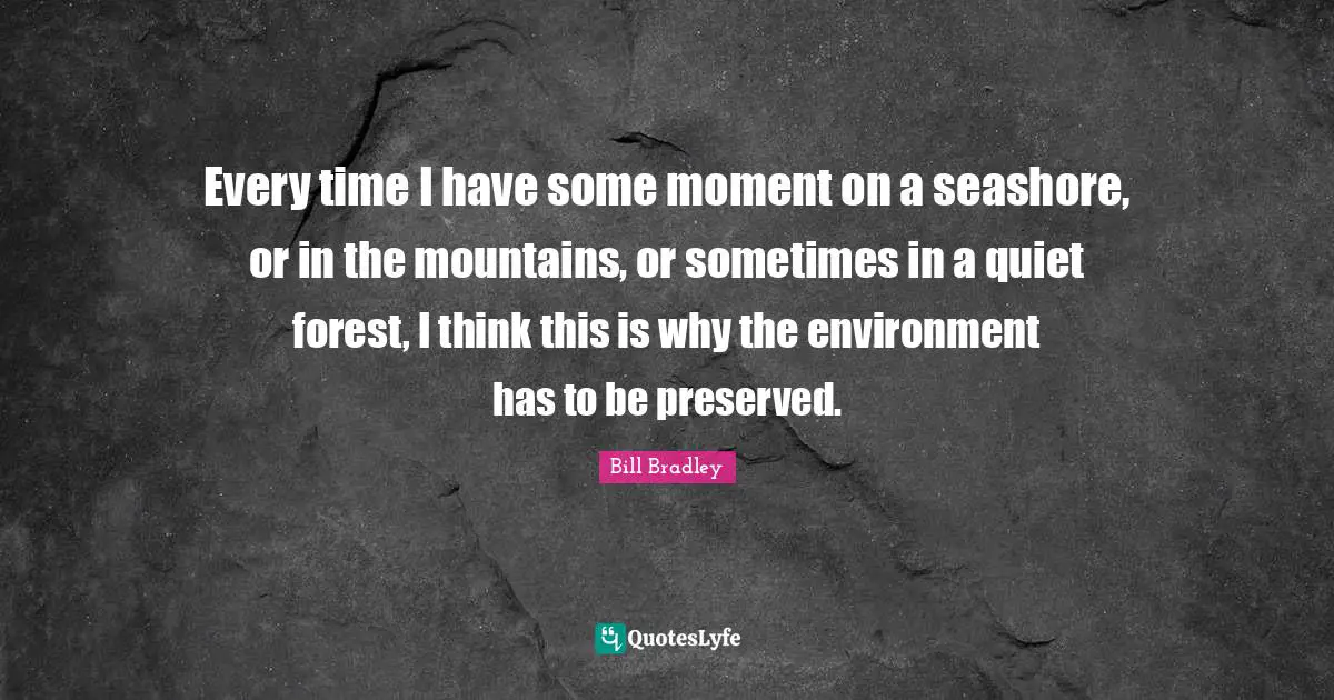 Every time I have some moment on a seashore, or in the mountains, or sometimes in a quiet forest, I think this is why the environment has to be preserved.