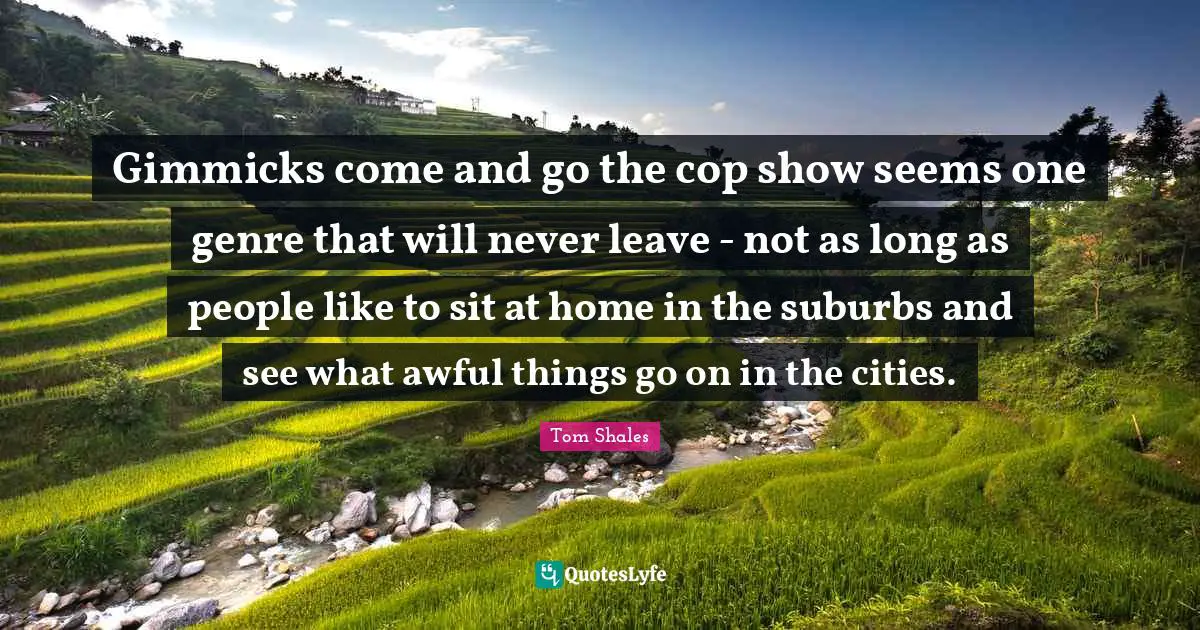 Gimmicks come and go the cop show seems one genre that will never leave - not as long as people like to sit at home in the suburbs and see what awful things go on in the cities.