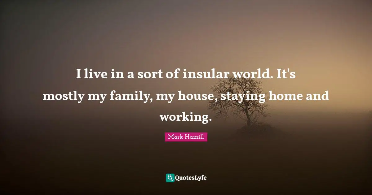 I live in a sort of insular world. It's mostly my family, my house, staying home and working.