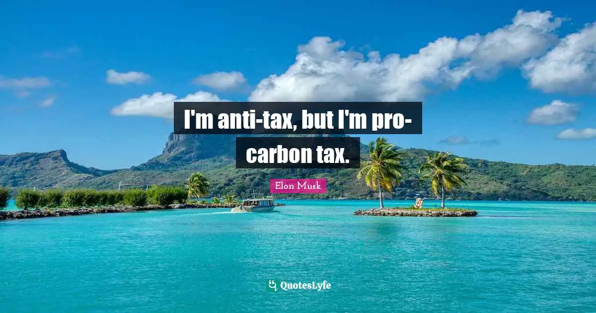 I'm anti-tax, but I'm pro-carbon tax.