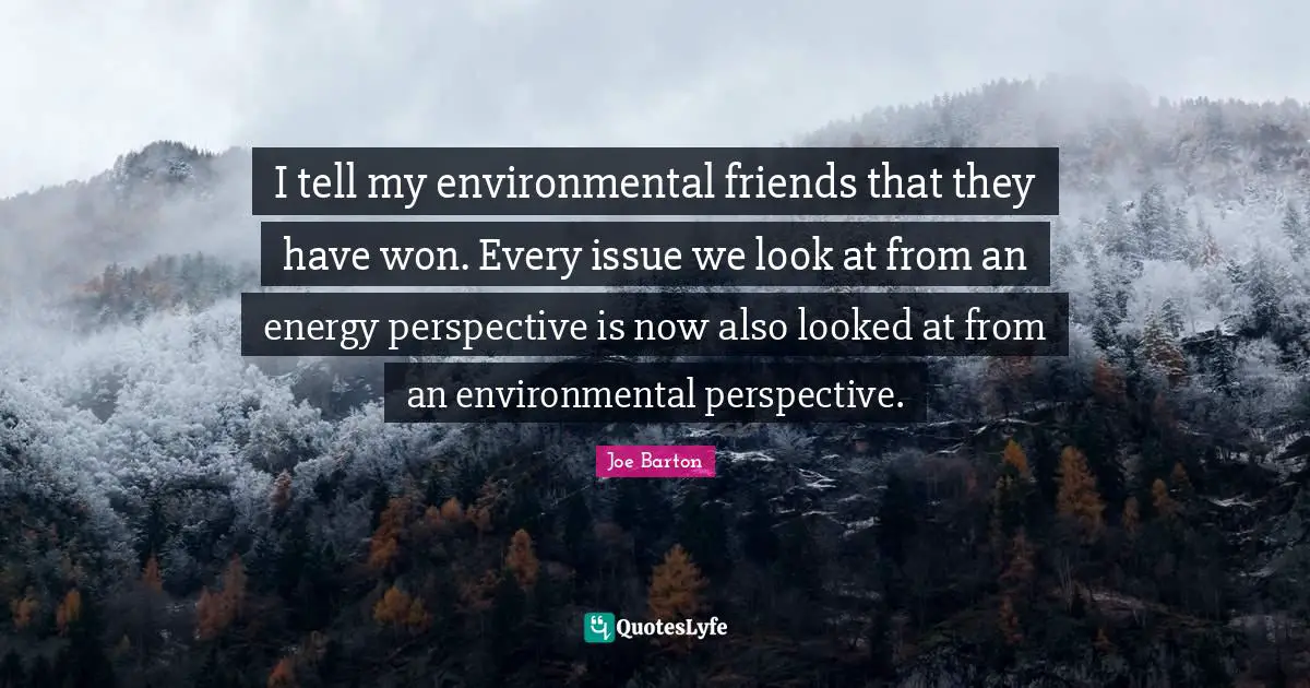 I tell my environmental friends that they have won. Every issue we look at from an energy perspective is now also looked at from an environmental perspective.