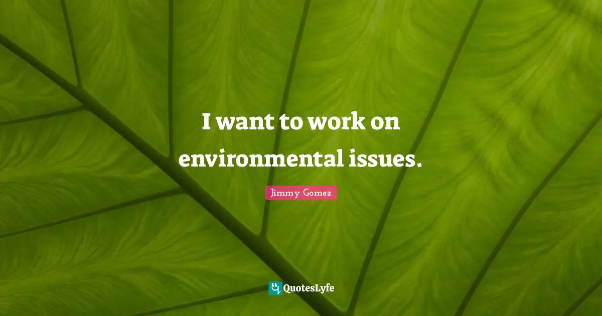 I want to work on environmental issues.
