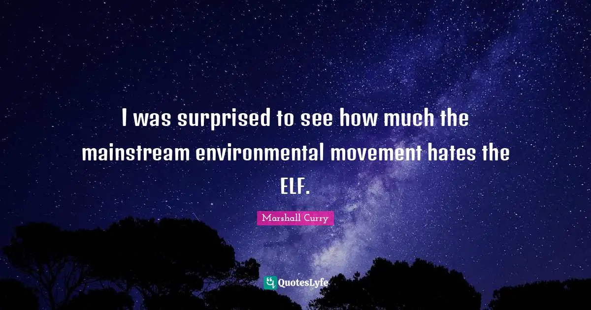 I was surprised to see how much the mainstream environmental movement hates the ELF.