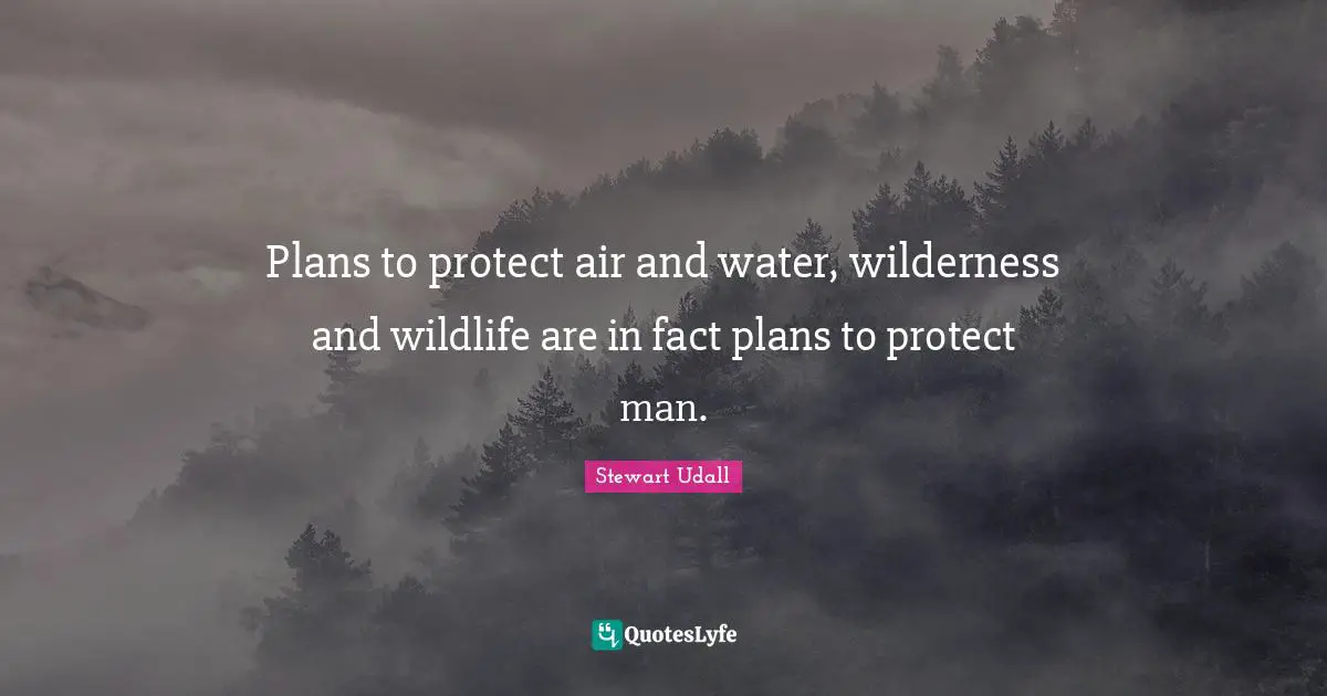 Wilderness Quotes: "Plans to protect air and water, wilderness and wildlife are in fact plans to protect man."