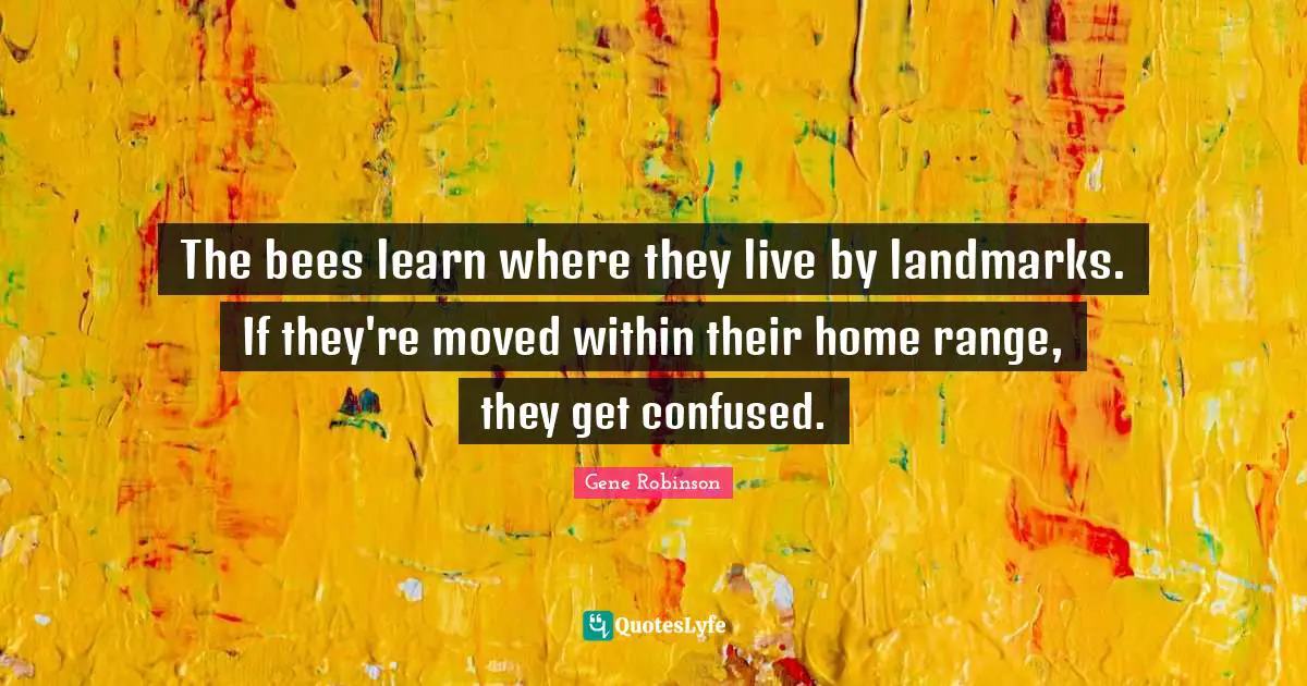 The bees learn where they live by landmarks. If they're moved within their home range, they get confused.