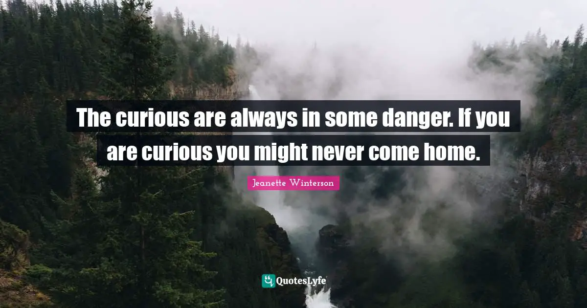 I Am Curious Quotes: "The curious are always in some danger. If you are curious you might never come home."