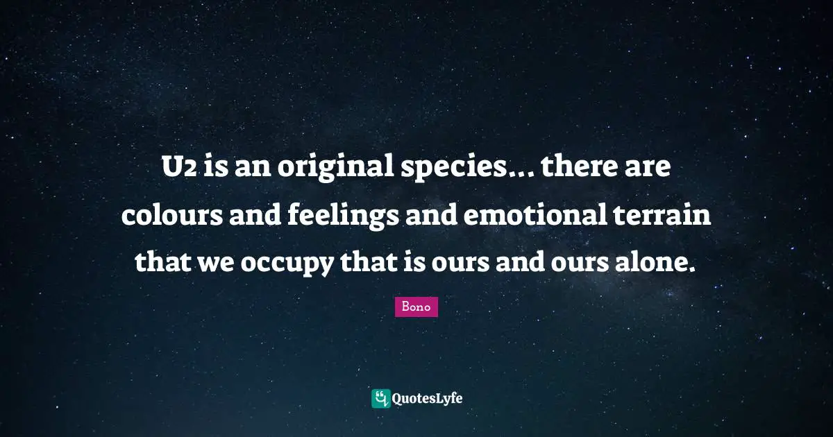 U2 is an original species... there are colours and feelings and emotional terrain that we occupy that is ours and ours alone.