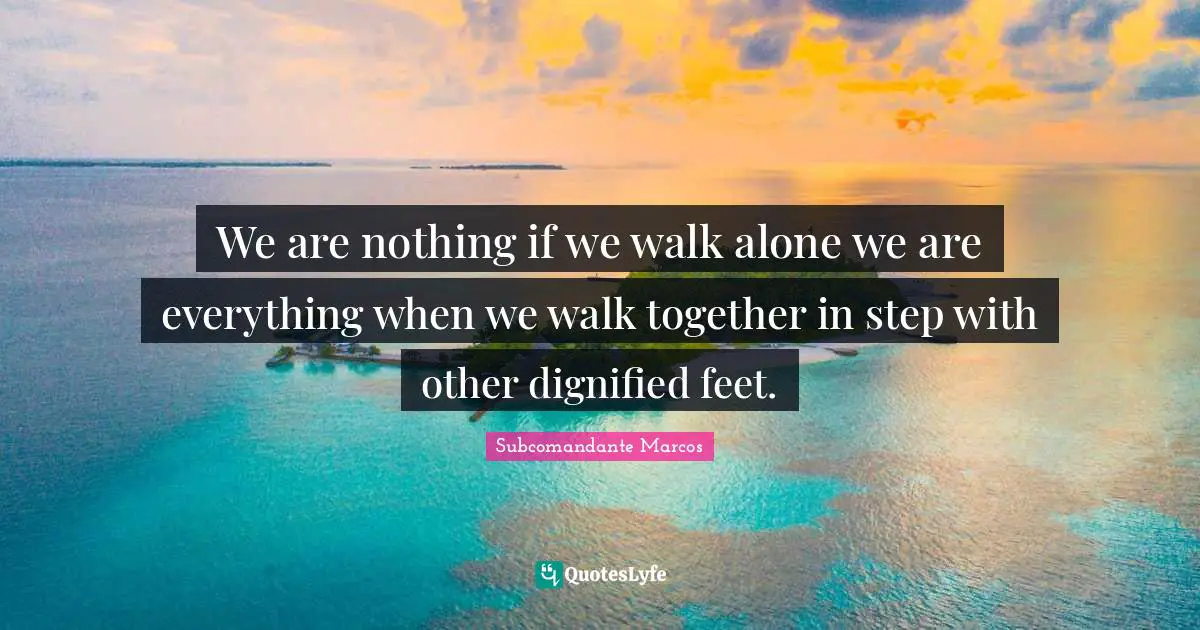 We are nothing if we walk alone we are everything when we walk together in step with other dignified feet.