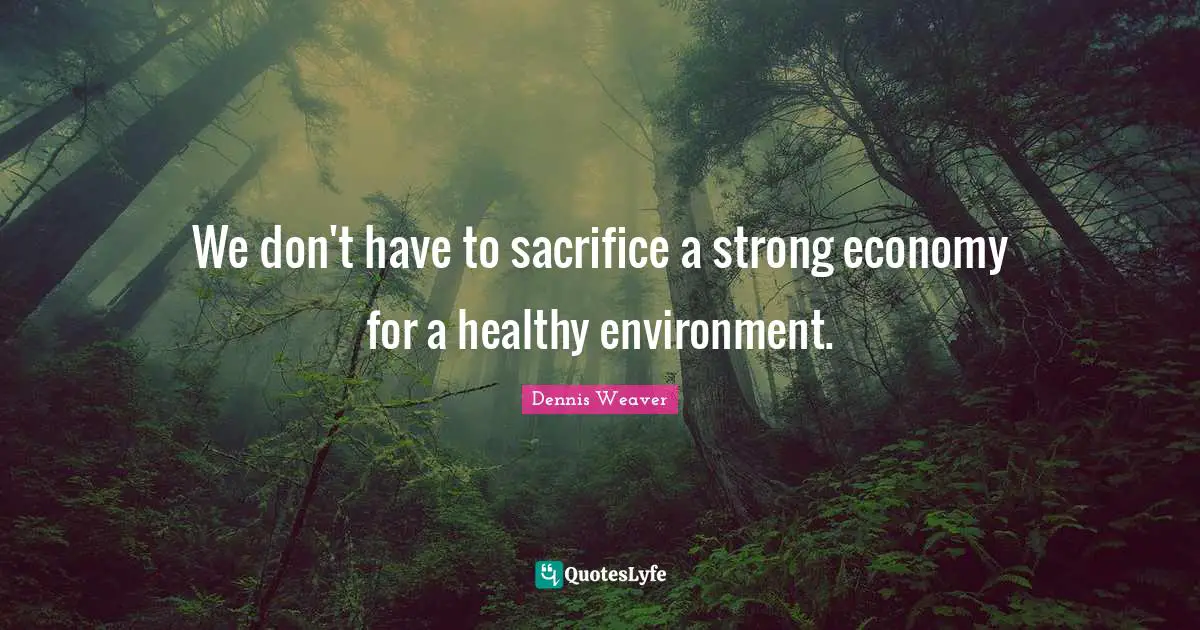 We don't have to sacrifice a strong economy for a healthy environment.