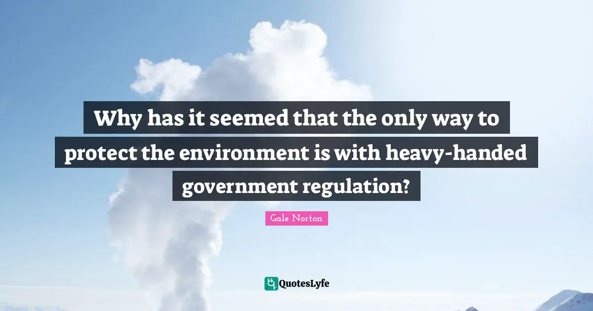 Why has it seemed that the only way to protect the environment is with heavy-handed government regulation?