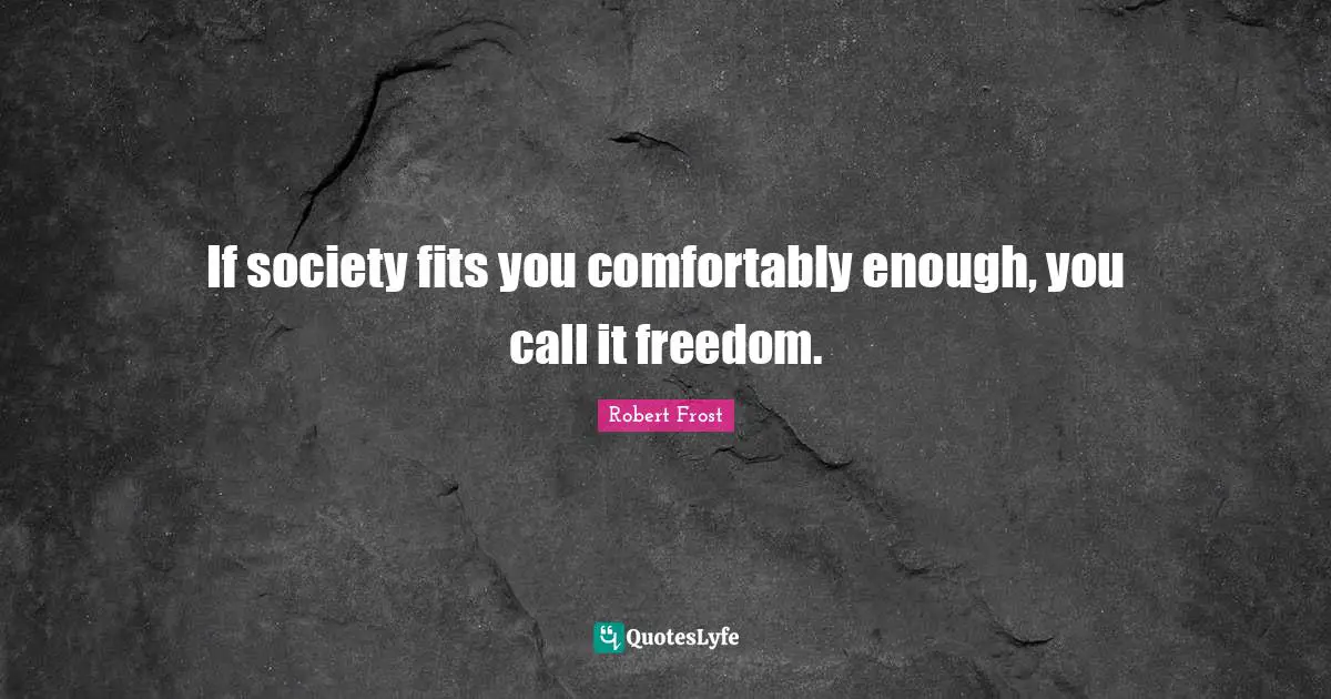 If society fits you comfortably enough, you call it freedom.