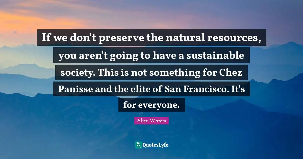 Alice Waters Quotes: "If we don't preserve the natural resources, you aren't going to have a sustainable society. This is not something for Chez Panisse and the elite of San Francisco. It's for everyone."