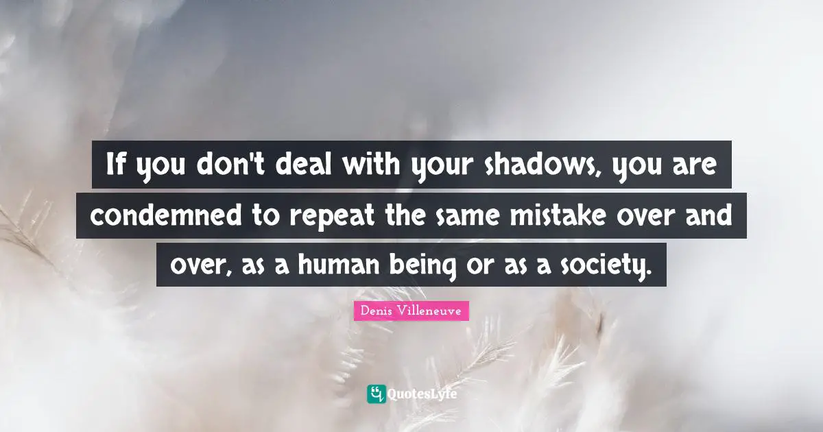 If you don't deal with your shadows, you are condemned to repeat the same mistake over and over, as a human being or as a society.