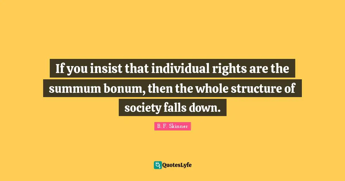 If you insist that individual rights are the summum bonum, then the whole structure of society falls down.
