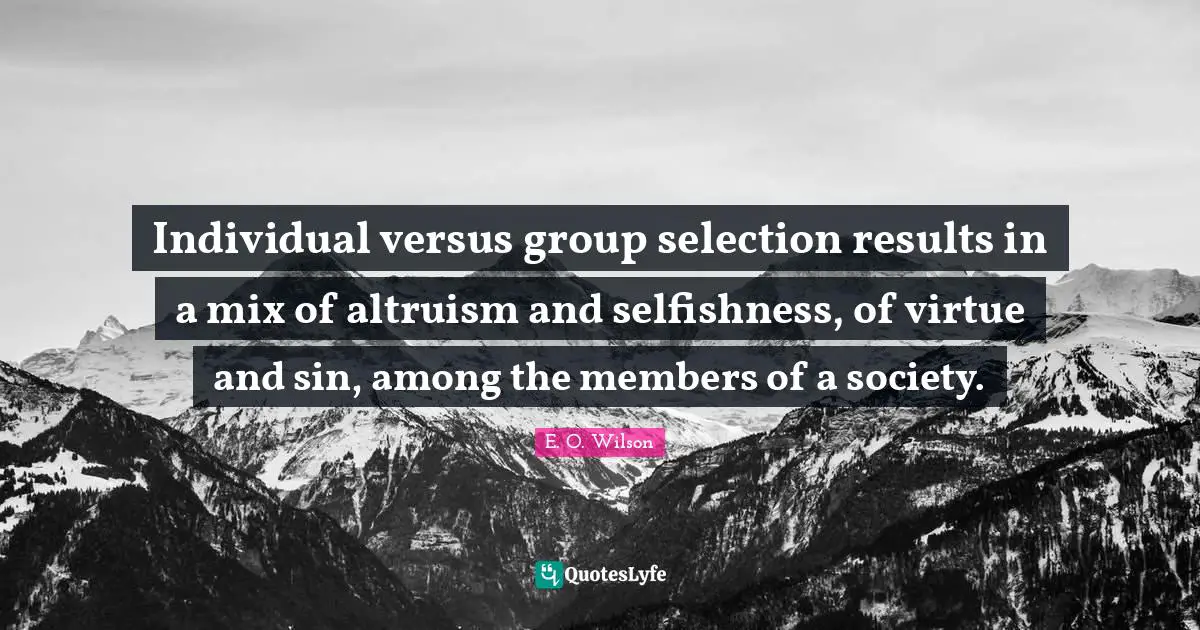 Individual versus group selection results in a mix of altruism and selfishness, of virtue and sin, among the members of a society.