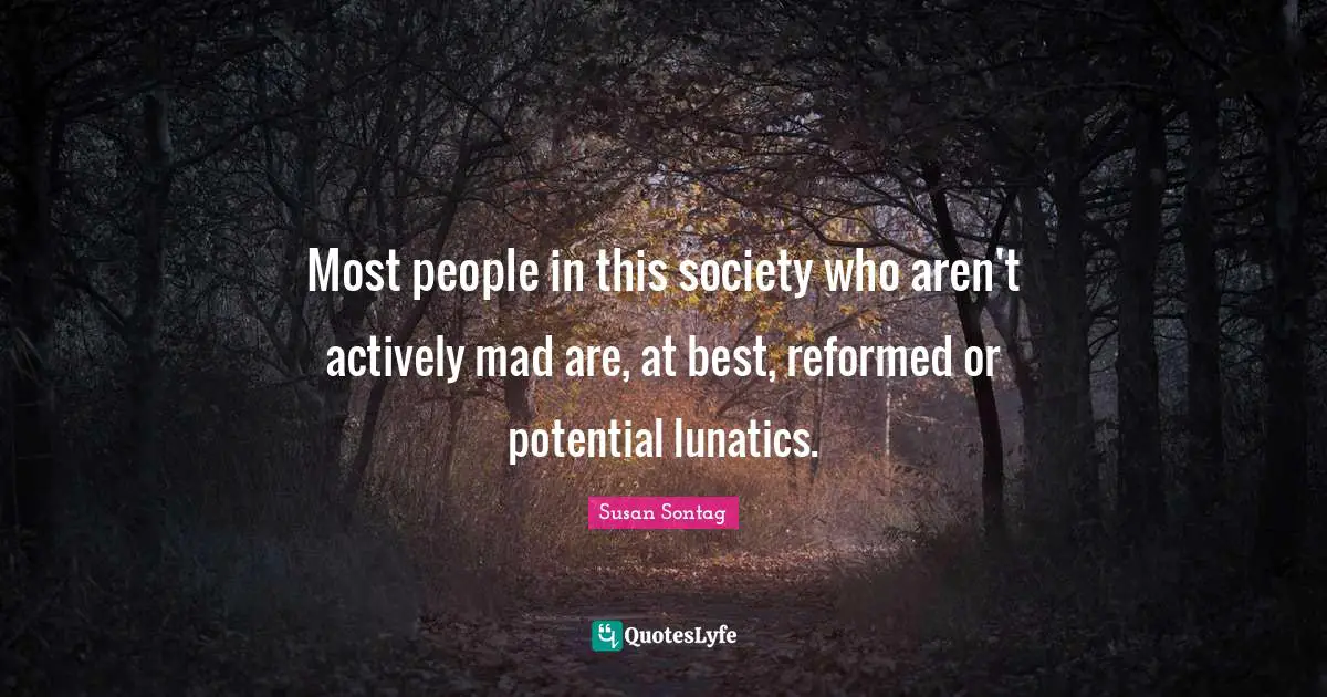 Most people in this society who aren't actively mad are, at best, reformed or potential lunatics.