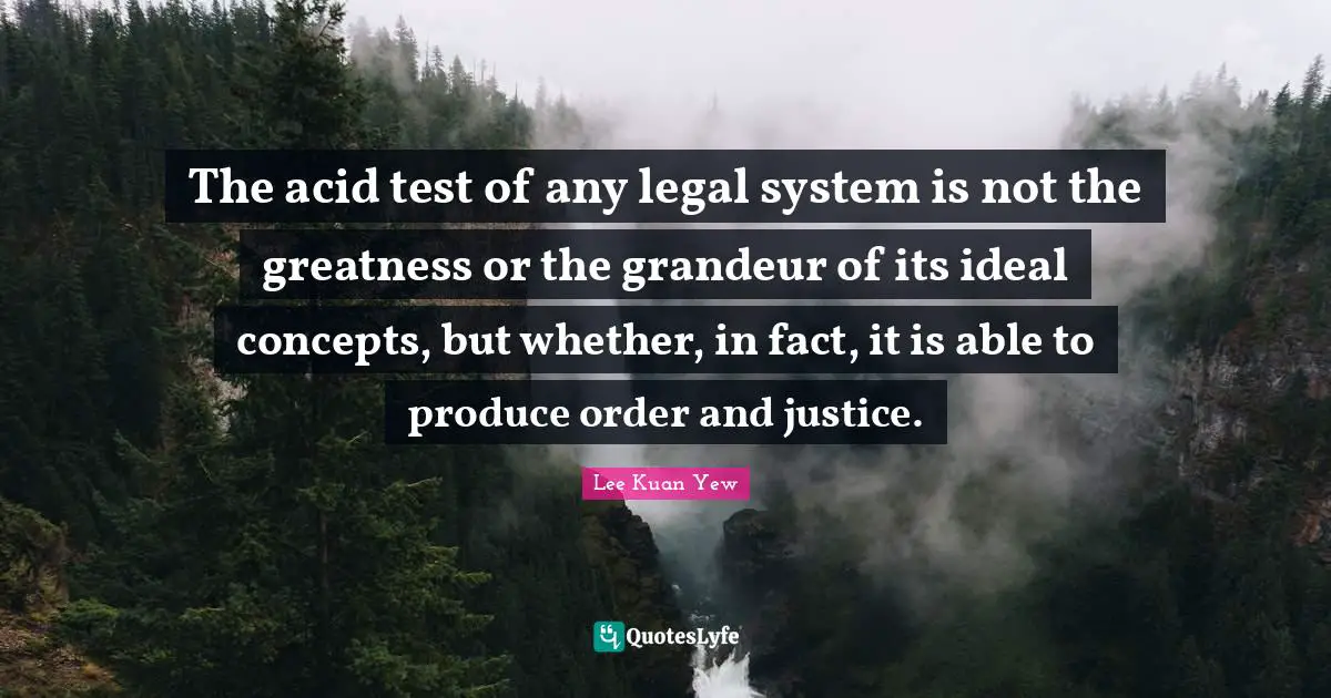 The acid test of any legal system is not the greatness or the grandeur of its ideal concepts, but whether, in fact, it is able to produce order and justice.