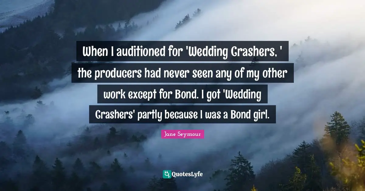 When I auditioned for 'Wedding Crashers, ' the producers had never seen any of my other work except for Bond. I got 'Wedding Crashers' partly because I was a Bond girl.