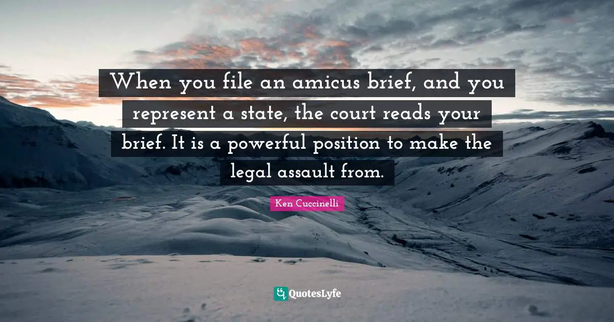 When you file an amicus brief, and you represent a state, the court reads your brief. It is a powerful position to make the legal assault from.