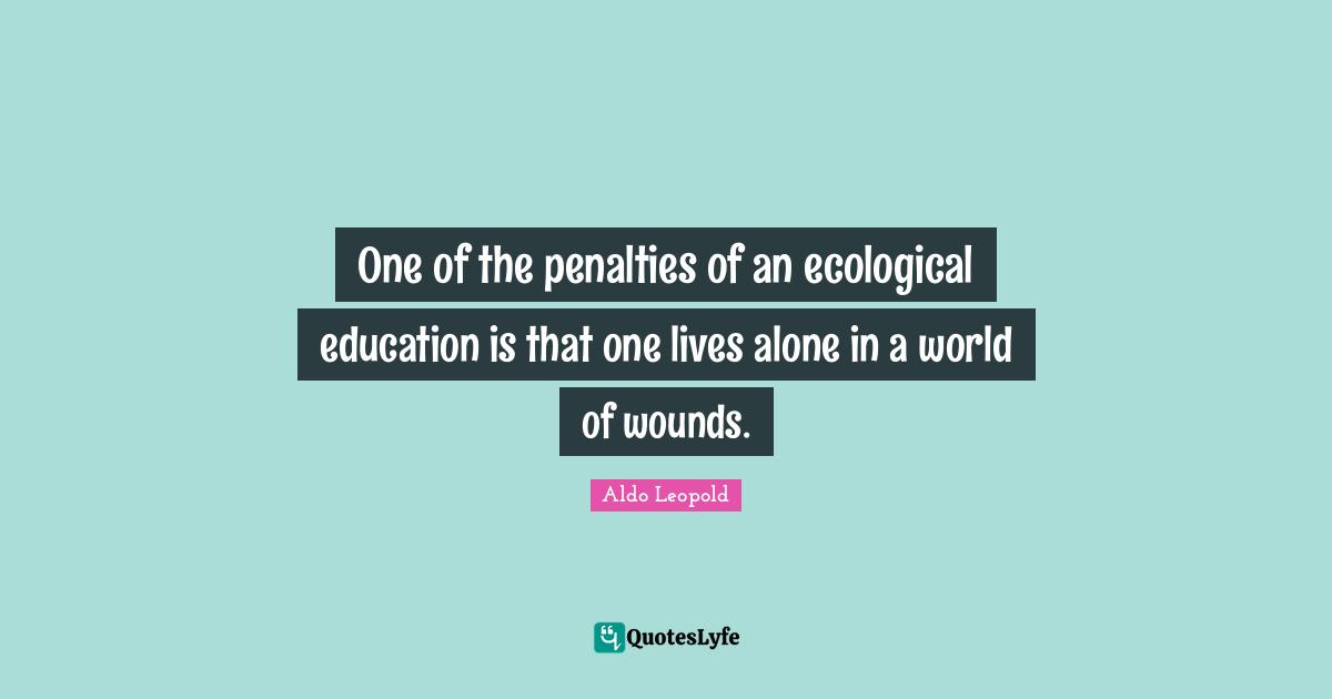 One of the penalties of an ecological education is that one lives alone in a world of wounds.