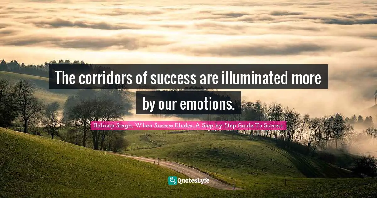 The corridors of success are illuminated more by our emotions.