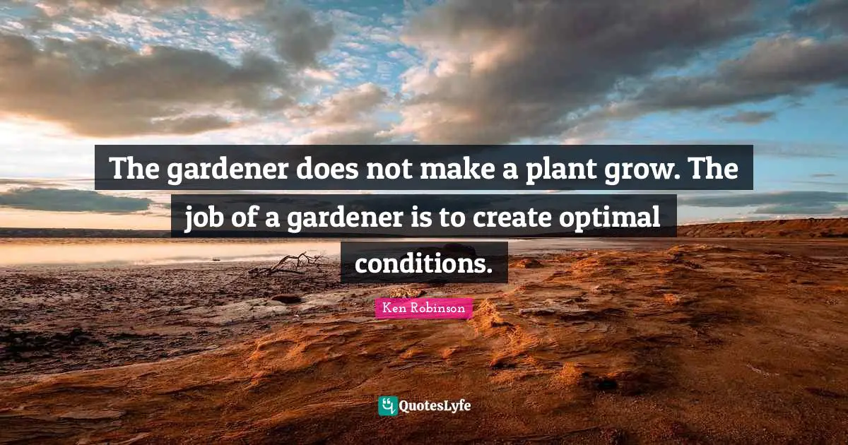 The gardener does not make a plant grow. The job of a gardener is to create optimal conditions.
