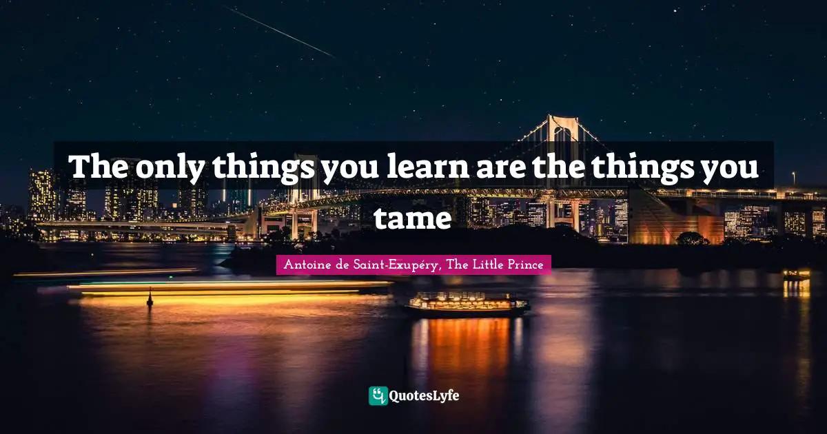The only things you learn are the things you tame