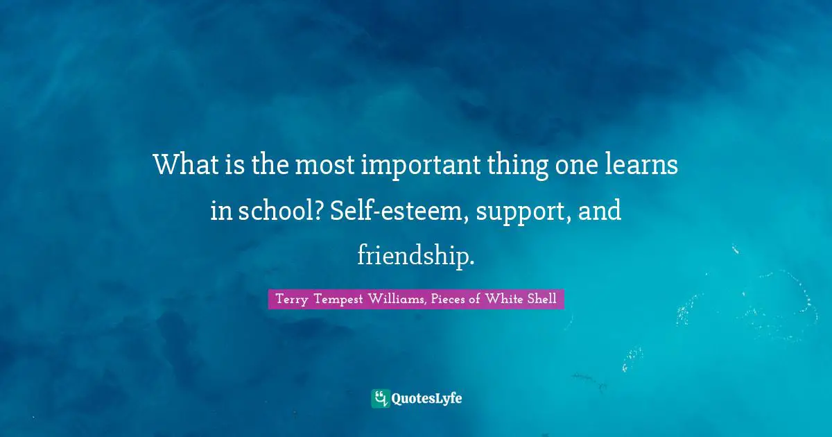 Terry Tempest Williams, Pieces Of White Shell Quotes: "What is the most important thing one learns in school? Self-esteem, support, and friendship."