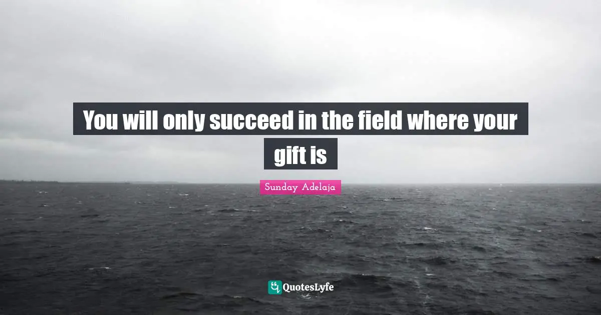 You will only succeed in the field where your gift is