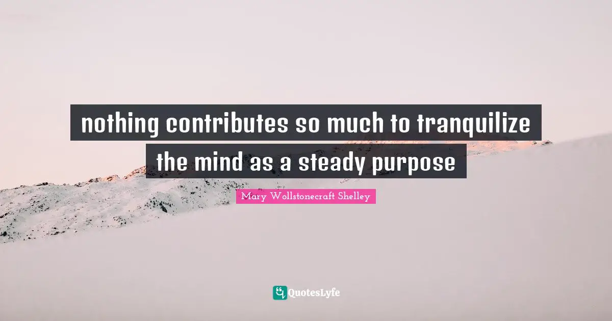 Mary Wollstonecraft Shelley Quotes: "nothing contributes so much to tranquilize the mind as a steady purpose"