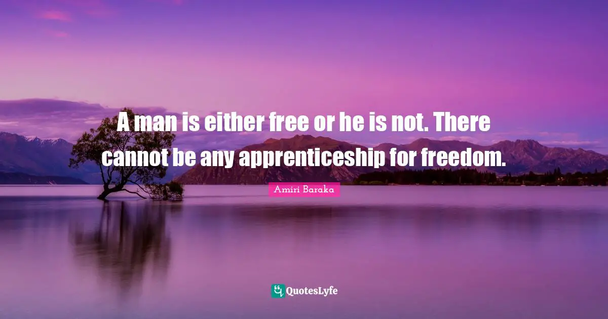 A man is either free or he is not. There cannot be any apprenticeship for freedom.