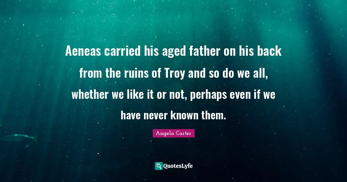 Aeneas carried his aged father on his back from the ruins of Troy and so do we all, whether we like it or not, perhaps even if we have never known them.