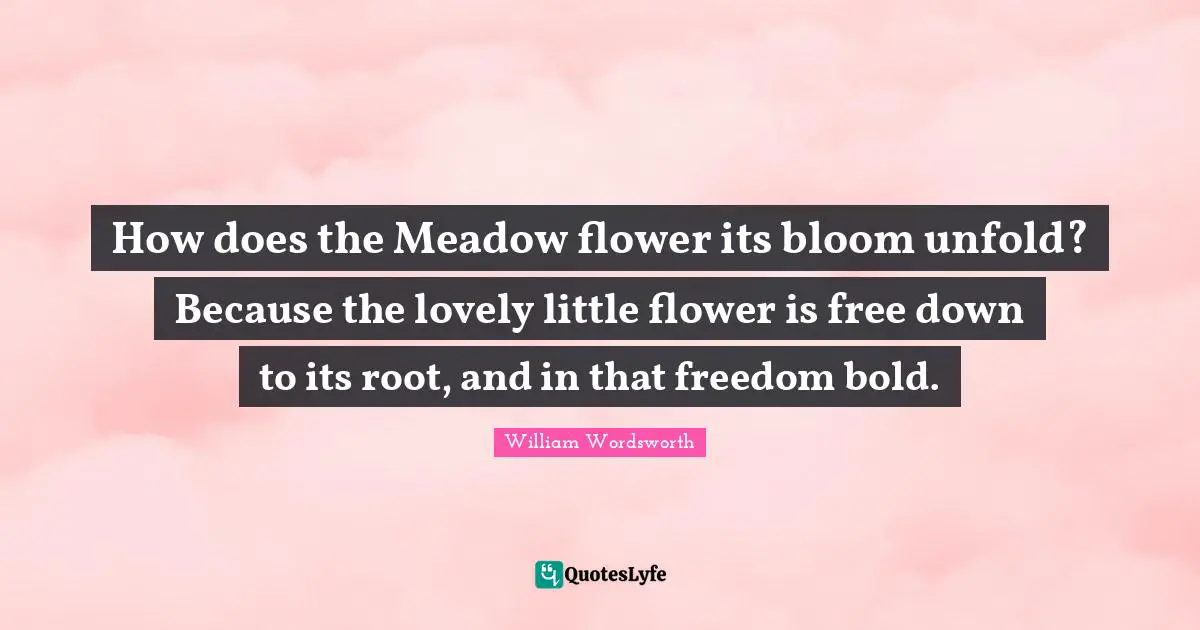 William Wordsworth Quotes: How does the Meadow flower its bloom unfold? Because the lovely little flower is free down to its root, and in that freedom bold.