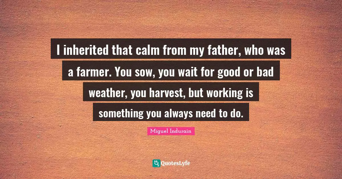 I inherited that calm from my father, who was a farmer. You sow, you wait for good or bad weather, you harvest, but working is something you always need to do.