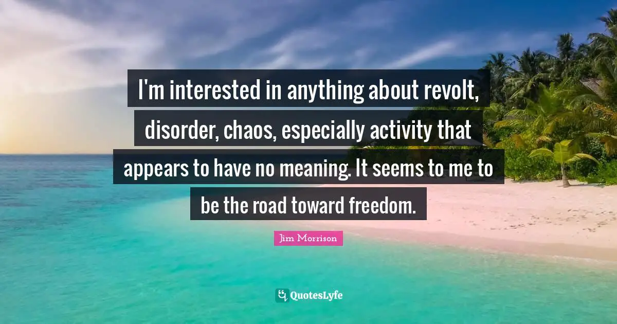 I'm interested in anything about revolt, disorder, chaos, especially activity that appears to have no meaning. It seems to me to be the road toward freedom.