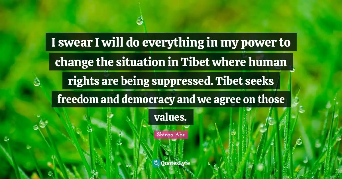 I swear I will do everything in my power to change the situation in Tibet where human rights are being suppressed. Tibet seeks freedom and democracy and we agree on those values.