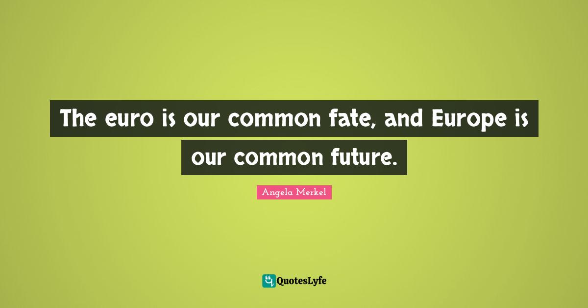 The euro is our common fate, and Europe is our common future.