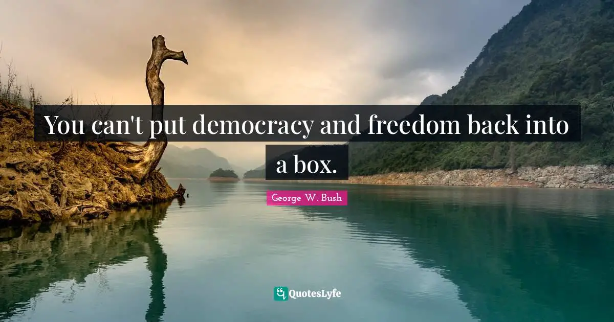 You can't put democracy and freedom back into a box.