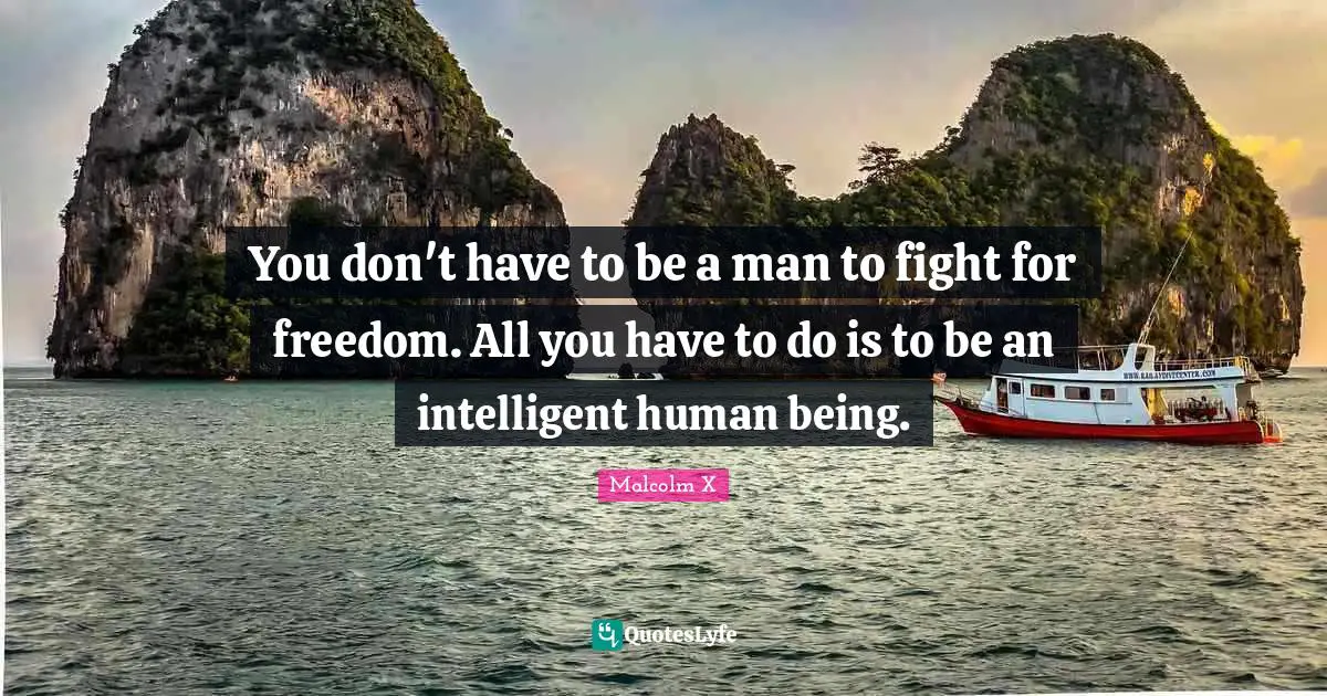 You don't have to be a man to fight for freedom. All you have to do is to be an intelligent human being.